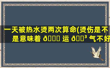 一天被热水烫两次算命(烫伤是不是意味着 🐅 运 🌳 气不好)